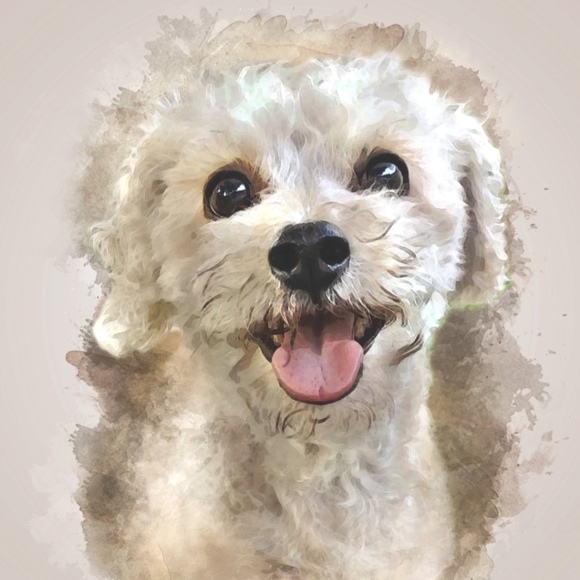 Meet your Posher, Jolene - Picture 1 of 1